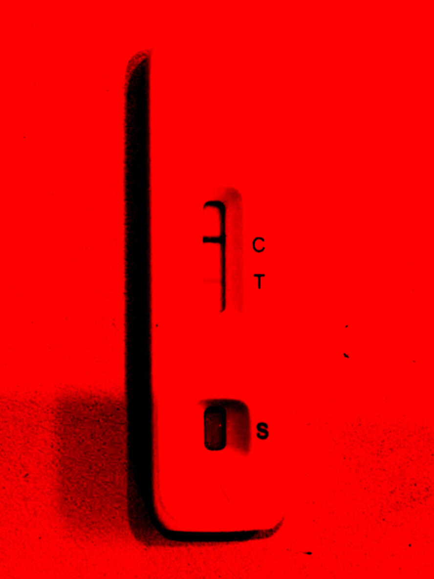 The Test