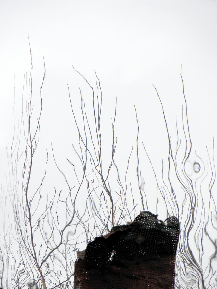 Urban Landscape