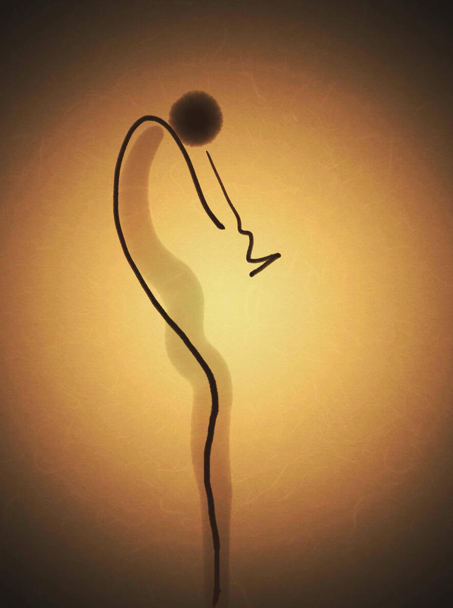 Flamenco Sketch