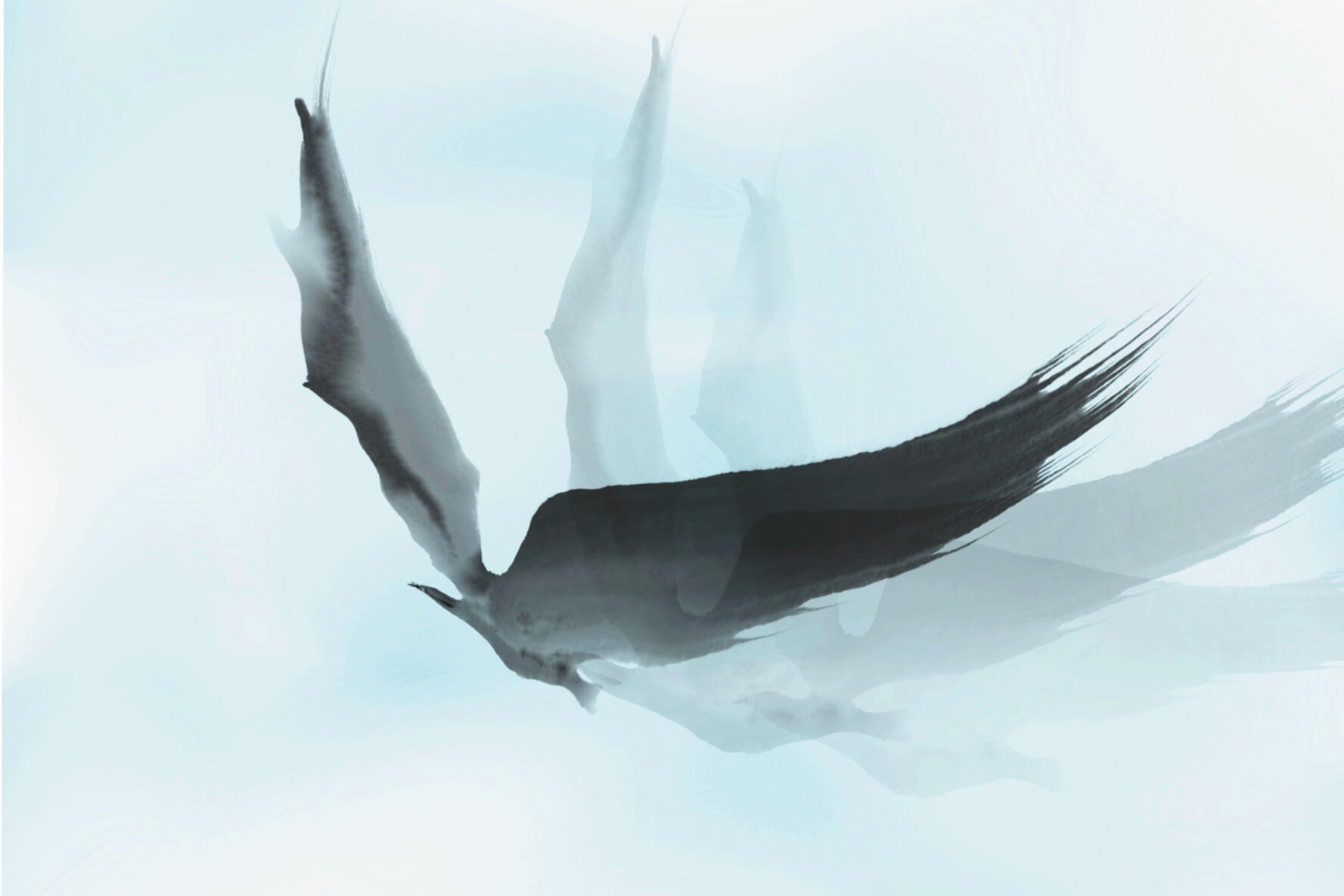 The Flight