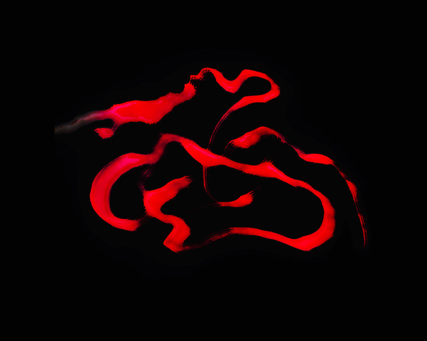 Red Dragon
