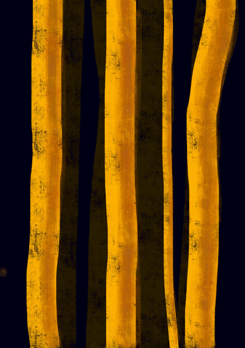 Yellow Birch