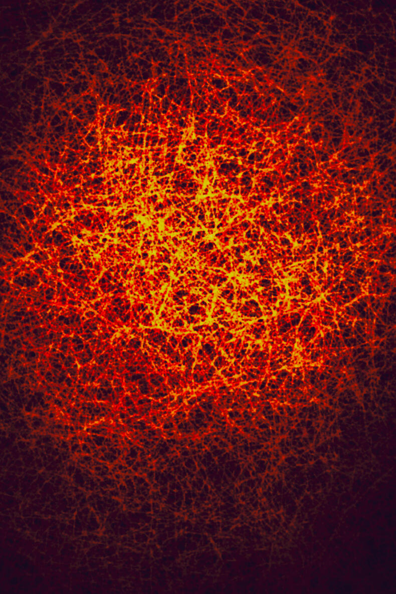 The Web