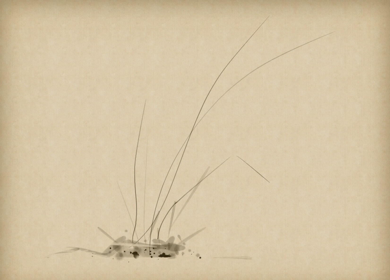 Grass